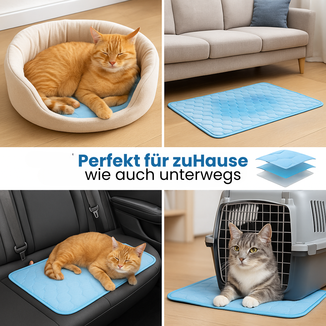 ThermaPaws™ – Die Nr. 1 Kühlmatte für heiße Tage