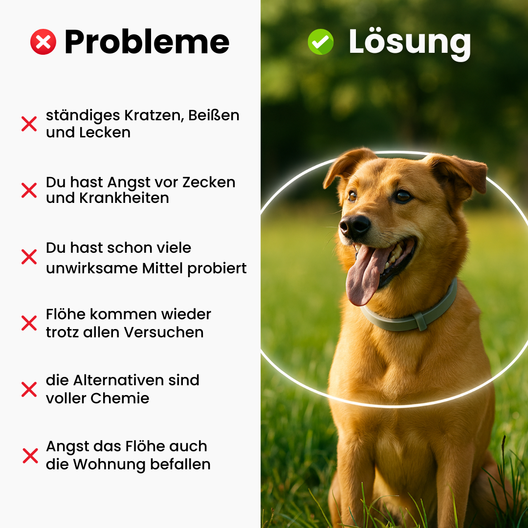 FurShield™ - Geprüfter Insektenschutz für Haustiere