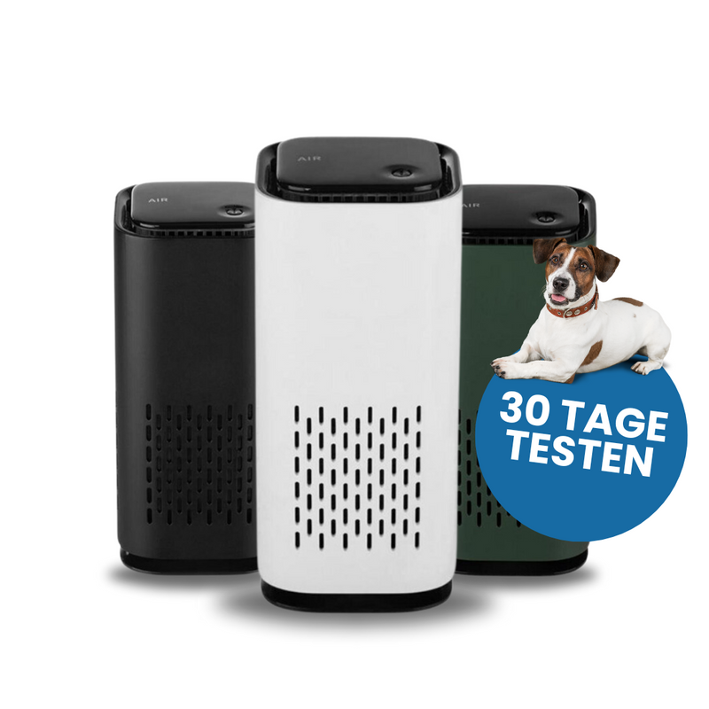 PurrAir™ - Eliminiere Hundegerüche auf Autopilot
