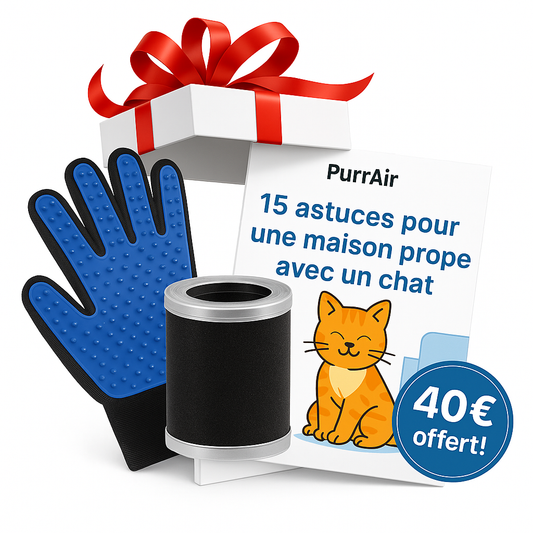 3 cadeaux pour toi et ton chat