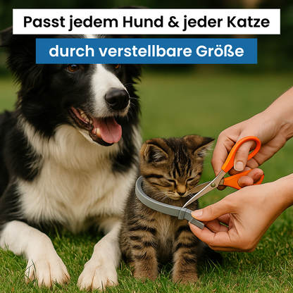 FurShield™ - Geprüfter Insektenschutz für Haustiere