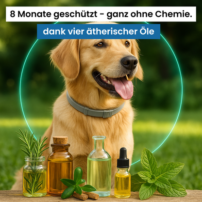 FurShield™ - Geprüfter Insektenschutz für Haustiere