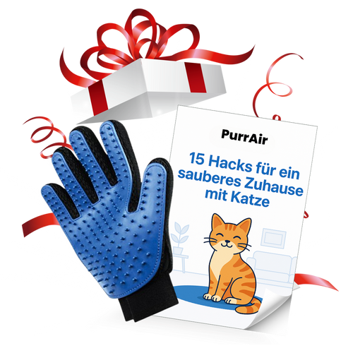 3 Geschenke für dich & deine Katze