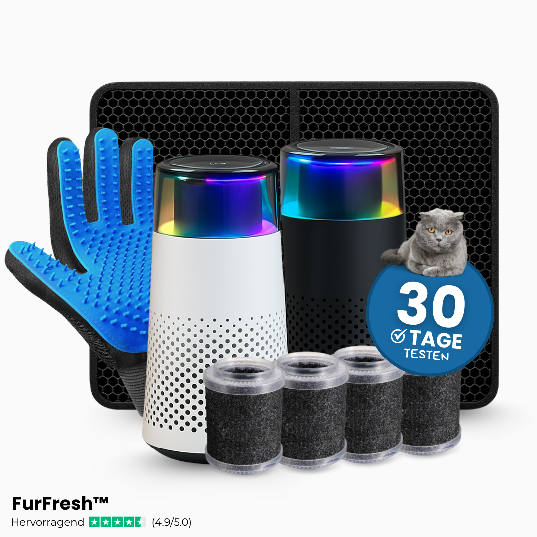 “Miefweg“ Rundum-Frisch-Paket [Limitiert]