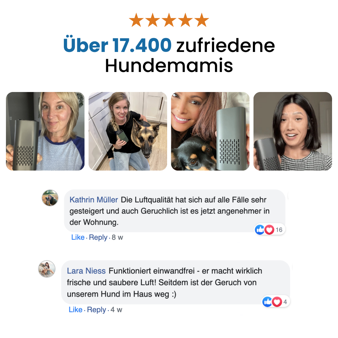 PurrAir™ - Eliminiere Hundegerüche auf Autopilot